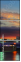 61816494