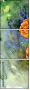 62123378