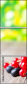 62401359