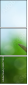 62577833