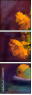 62921715