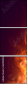 63090052
