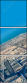 63862279