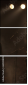 63920809