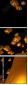 64122199