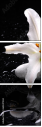 64347544