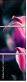 64764645