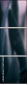 64764668