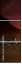 64837956