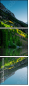65129233