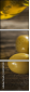 65132518