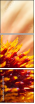 65782170
