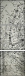 65806148