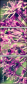 65874954