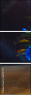 66105575