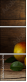 66675748