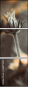 66879069