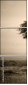 67091095