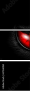 67360061