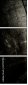 67787115