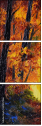 67857366
