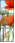 67906931