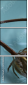 67938028