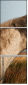 68105257