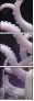 681456461