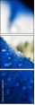 68169392