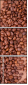 68206263
