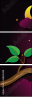 68631448