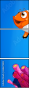 68671885