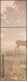 68672099