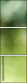 68702565