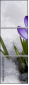 68748195