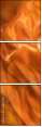 68781470