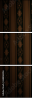 68806556