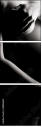 68806614