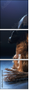 68921322
