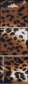 69044365