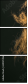 69137496