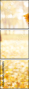 69296055