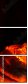 69305872