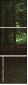 69436543