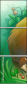 69445146