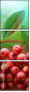 69445172