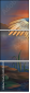 69445492