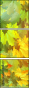 69448577