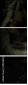 69546353